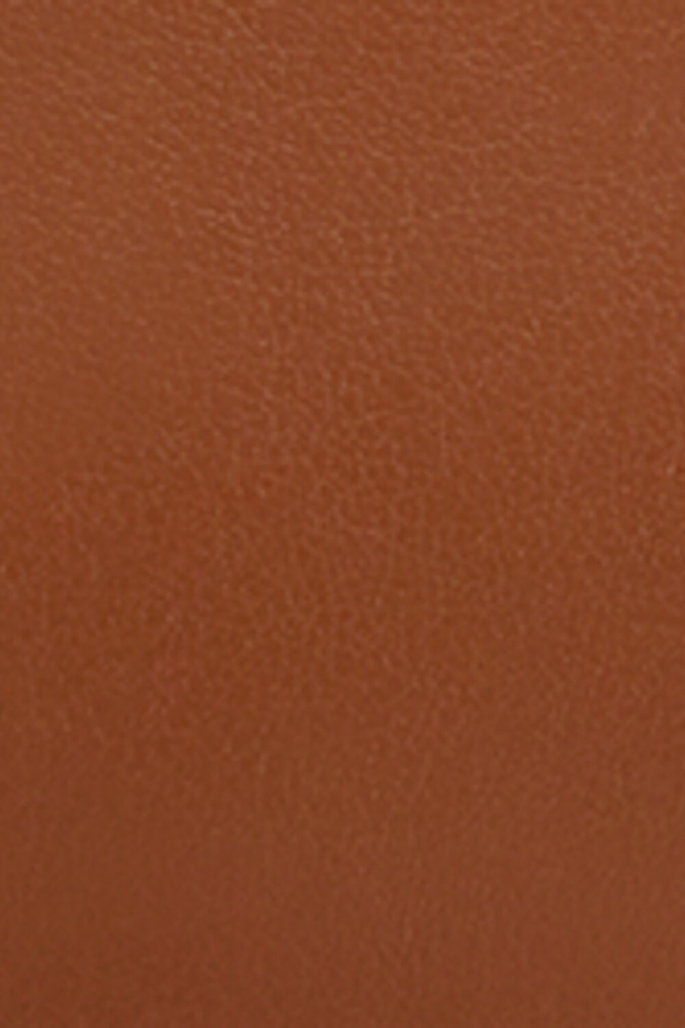 WP00294 ALLEGRA BASEBALL M COIN CASE