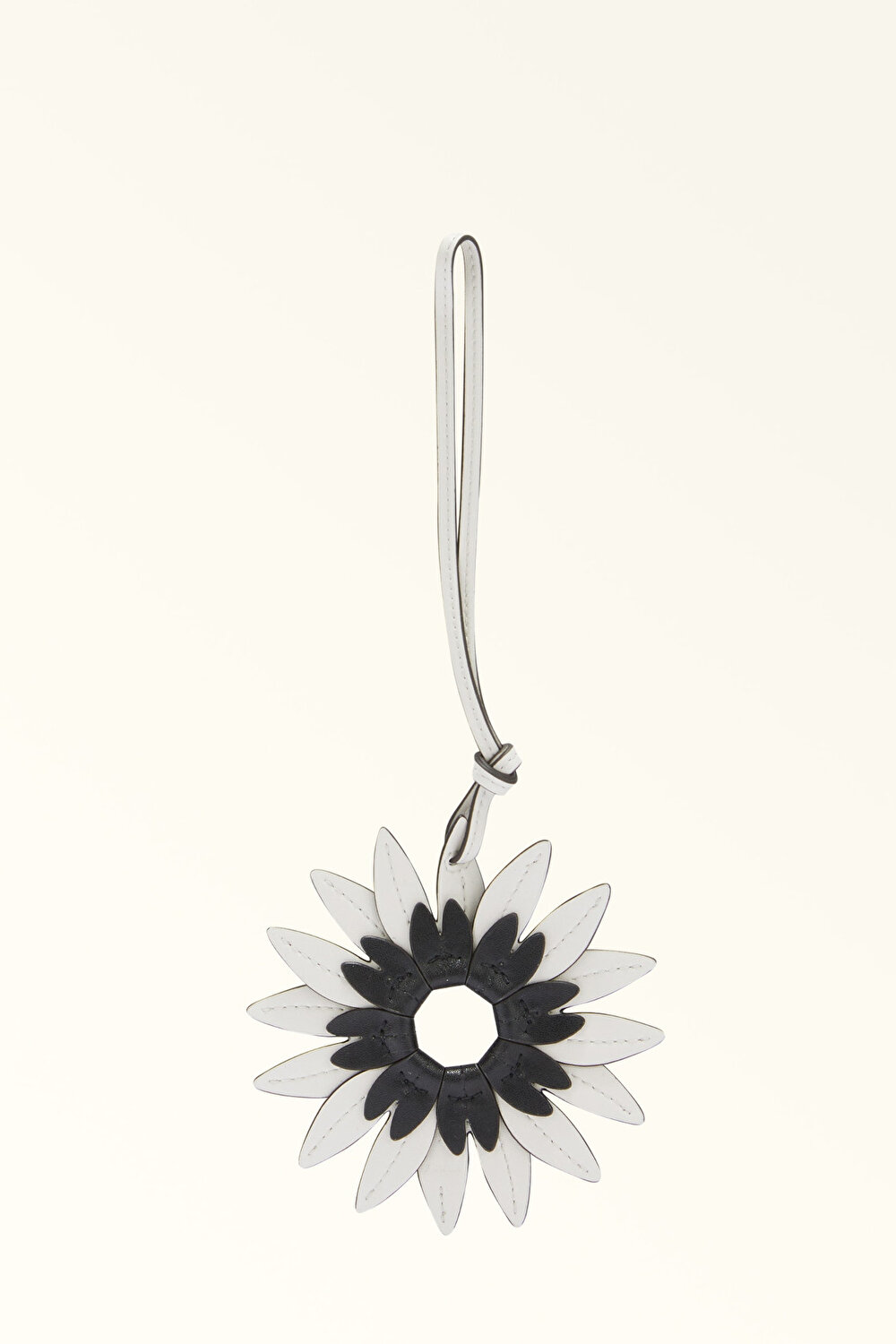 WK00236 ALLEGRA CHARM ASTER