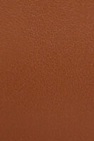WP00294 ALLEGRA BASEBALL M COIN CASE