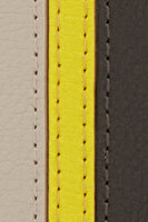 PDT2FPJ MAN PROJECT BI-FOLD COIN