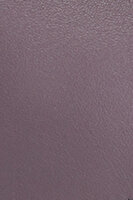 WB00930 METROPOLIS MINI CROSSBODY REMI