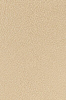 WP00407 FURLA CAMELIA L CARD CASE
