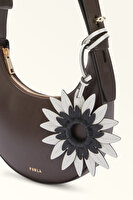 WK00236 ALLEGRA CHARM ASTER