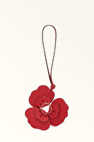 WK00271 ALLEGRA CHARM FLOWER