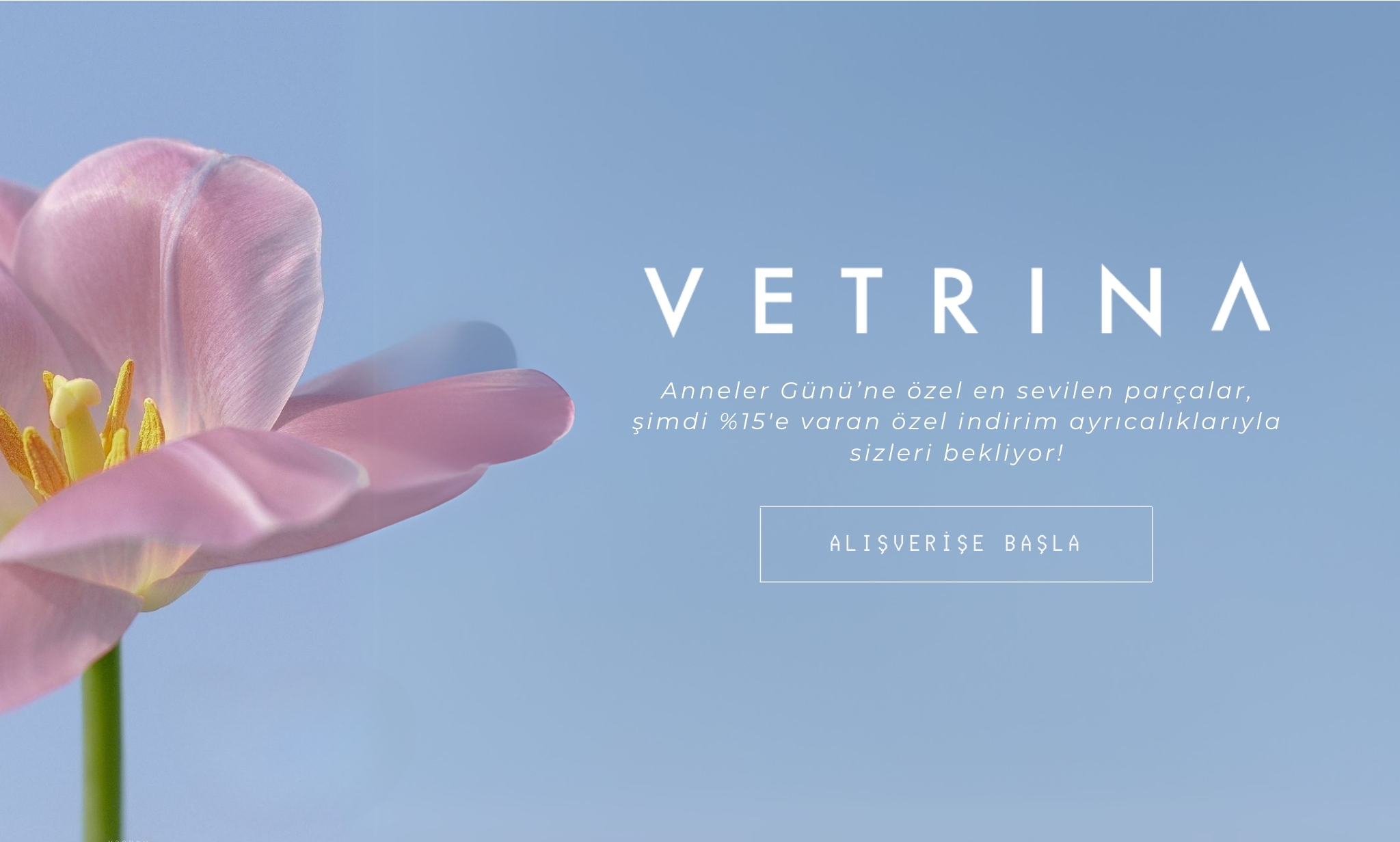 image-banner