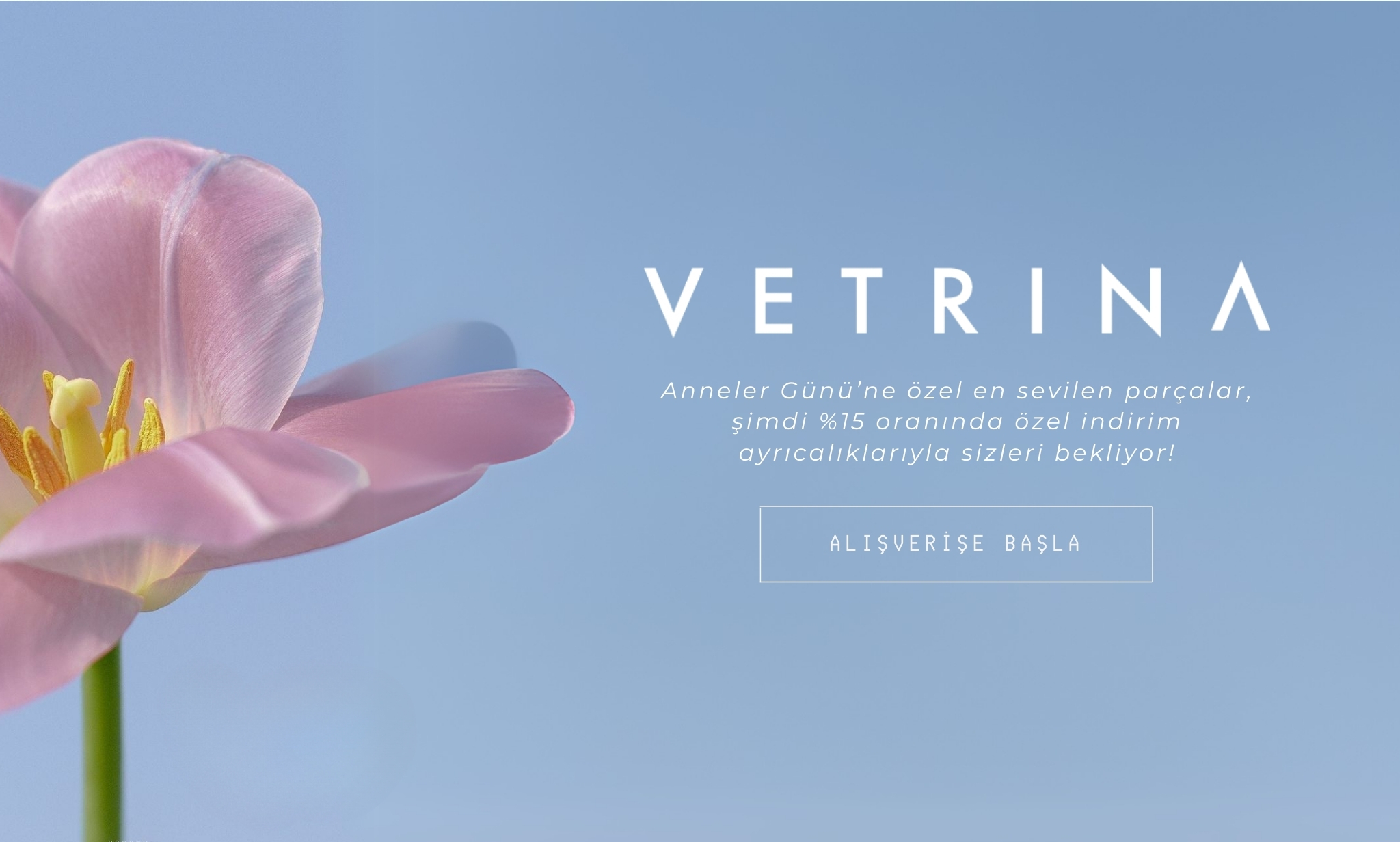image-banner